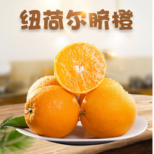 湖北秭归纽荷尔脐橙 代发3/9斤新鲜榨汁鲜橙当季水果非爱媛果冻橙