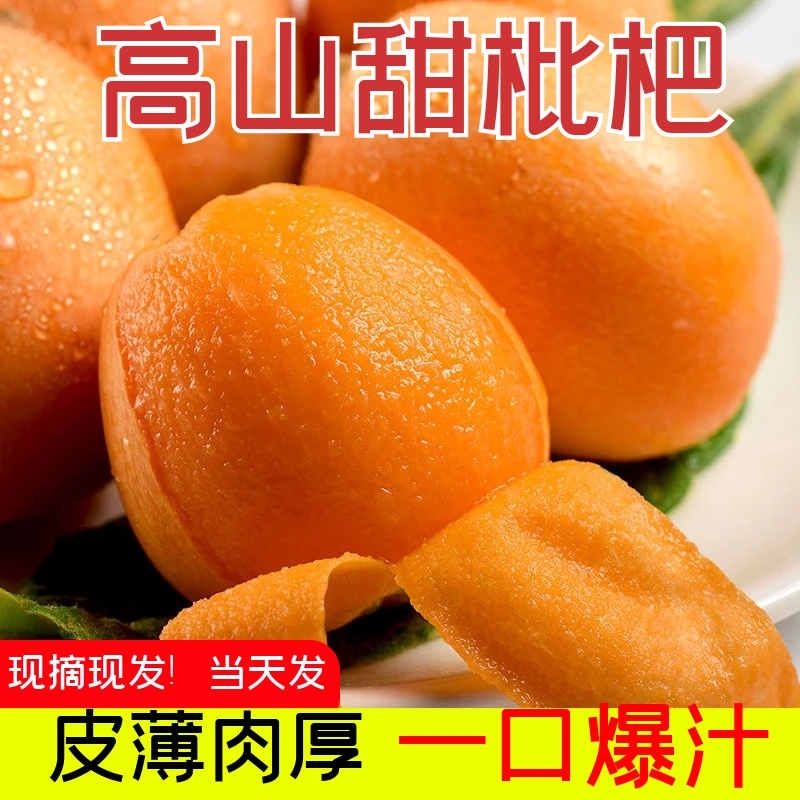 SF Express Sichuan Alpine Five-Star Loquat Сезонные свежие фрукты Свежесобранные сезонные сладкие лукасы Сезонные свежие фрукты целиком