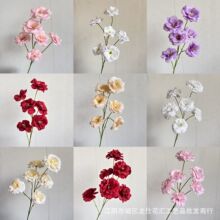 ���滨�仨ϵ��6�^������ 6�^�d�ӻ� 6�^��߅��۹� �Ɍ���ˇ