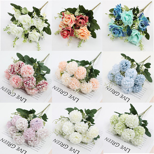���滨õ�� ĵ�� ��� �Ҿ��bٻ��[����Y�Ĕz�������컨���l