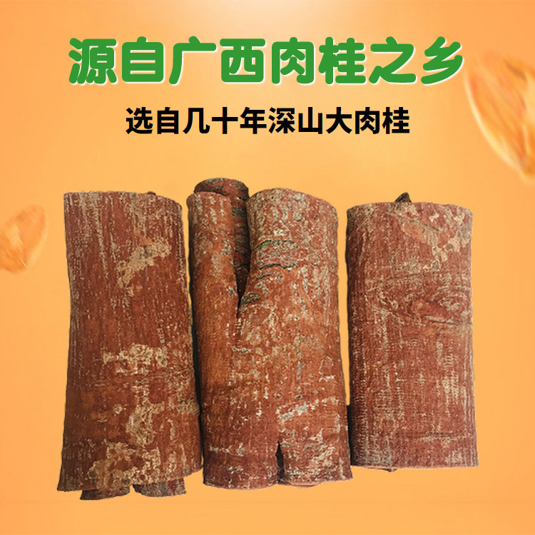 Chinese Cinnamon Bark Rou Gui 2500g Bulk Culinary Spice and TCM Herb overview