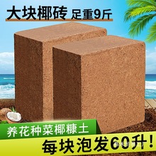 Ҭ�u�I�B���N��ͨ����Ó�}Ҭ����KҮ�u�����������B�������N���l