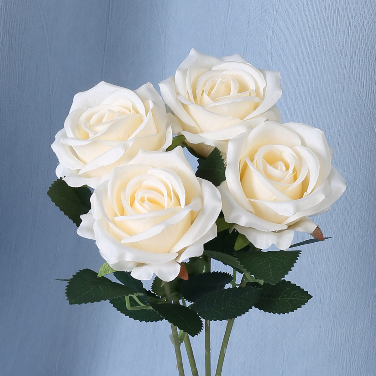 싱글 로즈 샴페인 컬러(실크)