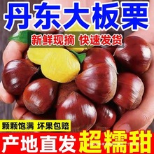 2025���r���|�������������������r��������5����Ұ���������