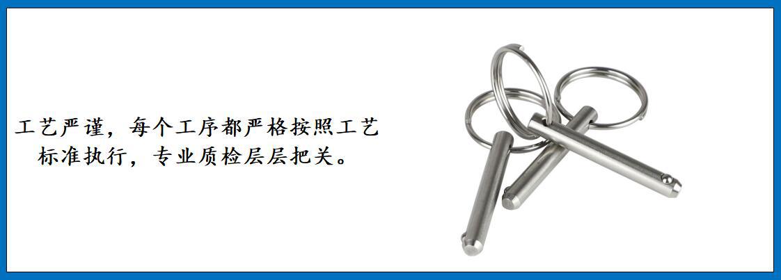 ZB7603拉环弹珠销 细节图-4.jpg