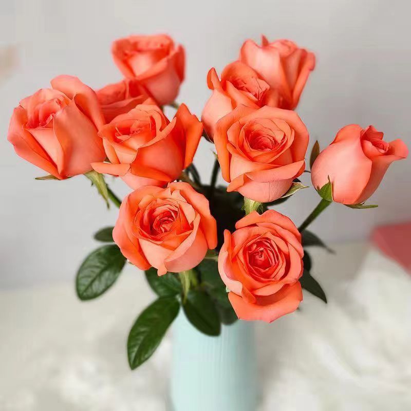 장미 1~2송이 [15송이 제외]