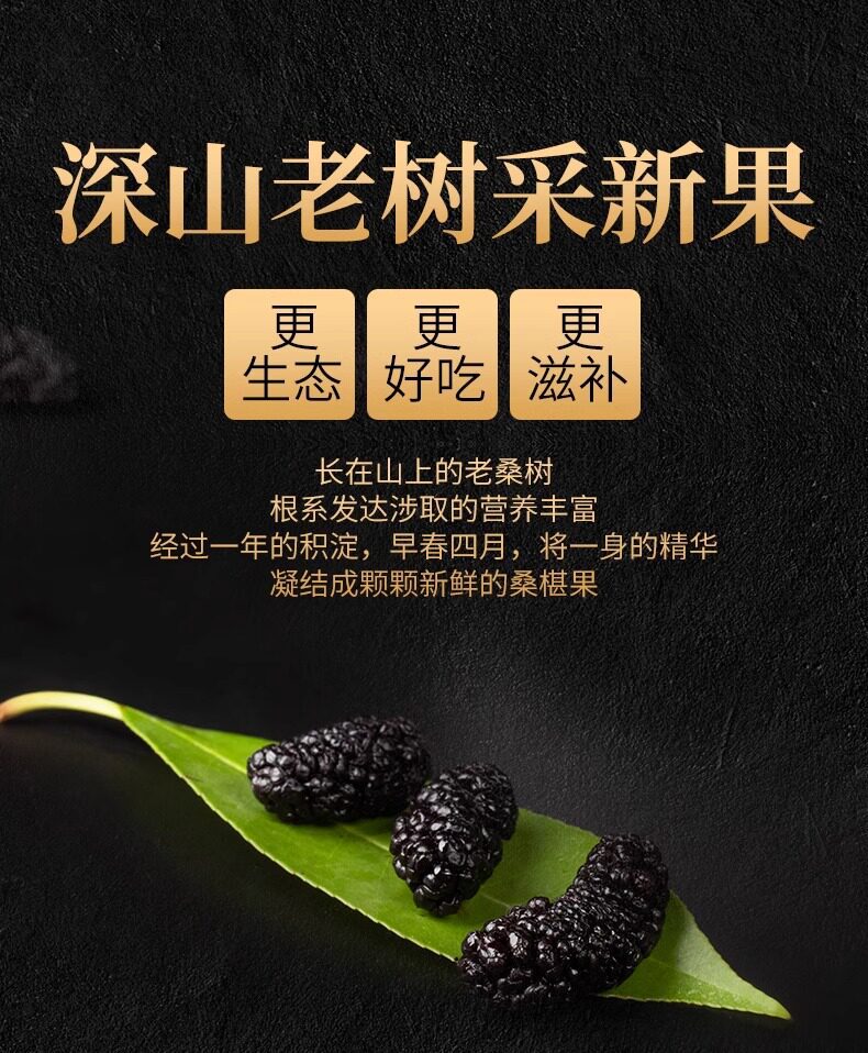 Dried Mulberry Fruit Sang Shen Zi 1500g Xinjiang Black Mulberries for Tea Wine and Snacking key features