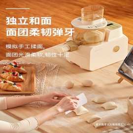 Apixintl安本素全自动面条机APIX-M06家用电动智能压面和面一体机