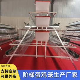三层五门蛋鸡笼阶梯式多层A型养殖笼三四层养鸡笼a型养殖场镀锌笼