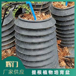 ��ľ�辰��������� �Ř��_�h������Nֲ�� �@���辰�B���ظ���