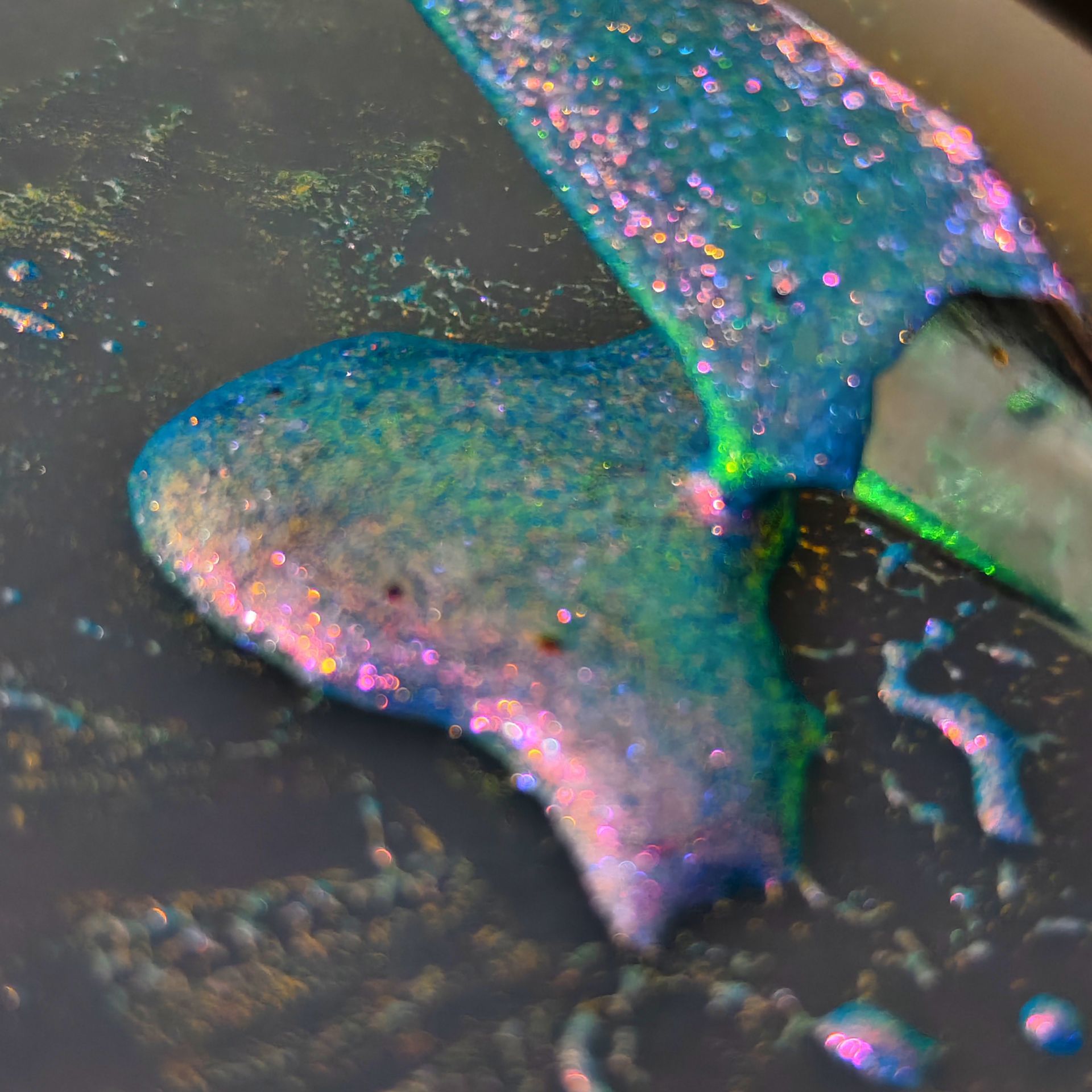 批发水彩幻彩水果色高彩度变色龙偏光粉 火漆蜡变色龙粉1g