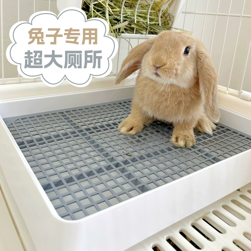 Голландская свинья туалет Большой большой кролик туалет Специальный голландский свиной мочевой таз