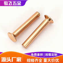 厂家供应制造批发平头实心铝铆钉击芯柳钉销炒锅敲击非标