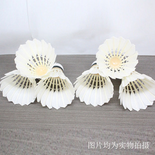 �\����ȫ�A���� ��ِ����ë�� �S��ֱ�N �o����ë��S��