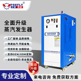 蒸汽发生器;燃气锅炉;锅炉配附件