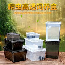 ���x��͸����B�������،m�޽��������֩���̖ˮꑷ�����͸���