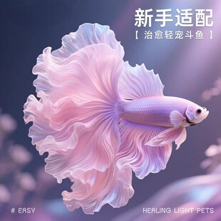 �鼆������̩�����~���~���B�����������~���Ꭷ�^�p�~����