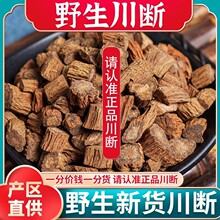 ��Ұɽ������ș����ˮ����Ʒ�ٷ����m��Ƭ���ɳԷ���S�����S�M��