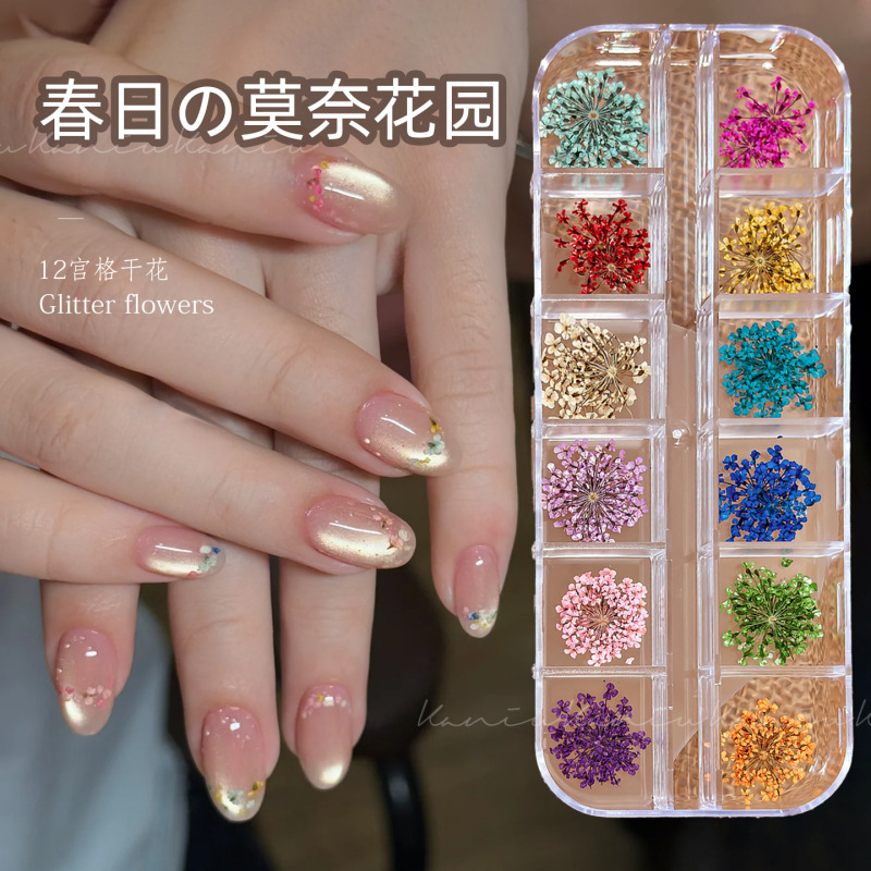 Nail Art 12-Compartment Dried Flower Box Set, High-Quality Three-Dimensional Fresh Natural Five-Petal Flowers, Ultra-Thin Nail Decorations