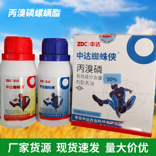 ���������\�����٘䚢�t֩�댣���rș����t��֩�뚢�\�����x��