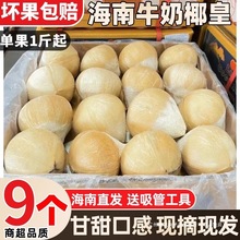 【9个装】海南牛奶椰皇新鲜椰子去皮现摘椰青椰白孕妇椰香浓郁椰