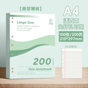 A4 / 100 - folleto de folleto desgarrado - menta verde brotes