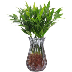 ������ˮ��ֲ�����Ԙ���͏d�Ϙ��k���҃����ӾGֲ����ˮ�B����