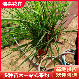 ��G����̦�������޸��r��ܲݻ����G�^�p�@�־G�����@�Z��̦��