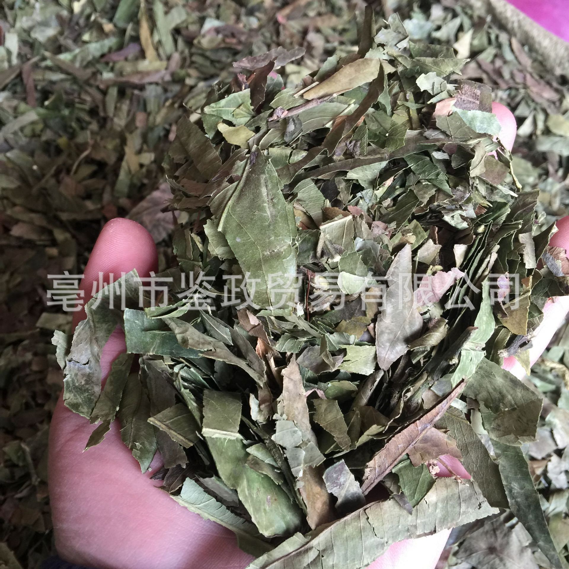 Dried Tangerine Leaf Ye Zi Loose Raw Herb 500g for Decoction and Tea quality and texture