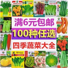 蔬菜种子原装四季播种庭院阳台农家盆栽香菜番茄辣椒水果种籽子孑