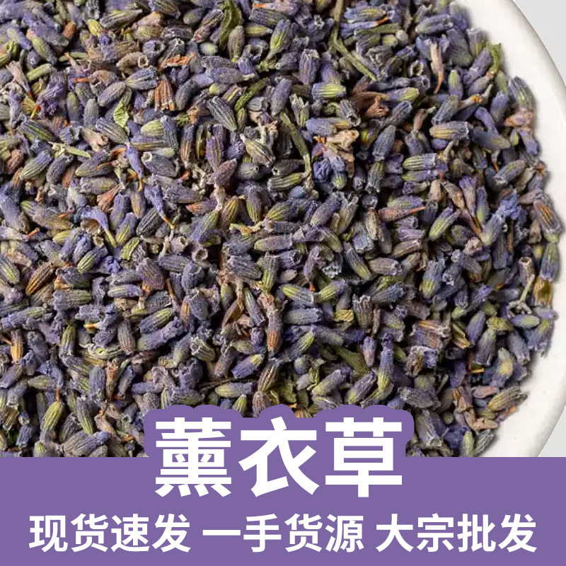 Lavender Xinjiang Ili New Dried Flowers Lavender Dried Flower Capsules Wholesale Lavender Vanilla Wholesale