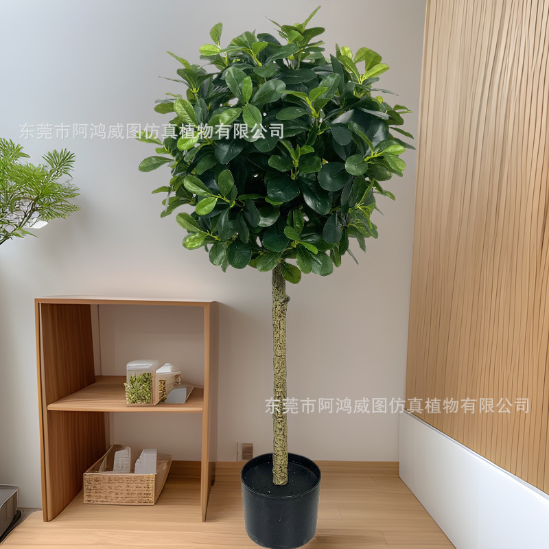 Simulation of flutonia and ficus multi-layer happiness tree money tree potted plant living room four seasons evergreen simulation green plant Simulation of flutonia and ficus multi-layer happiness tree money tree potted plant living room four seasons evergreen simulation green plant