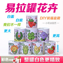 儿童礼物易拉罐植物盲盒桌面小盆栽小学生花卉绿植好养活种子盆栽
