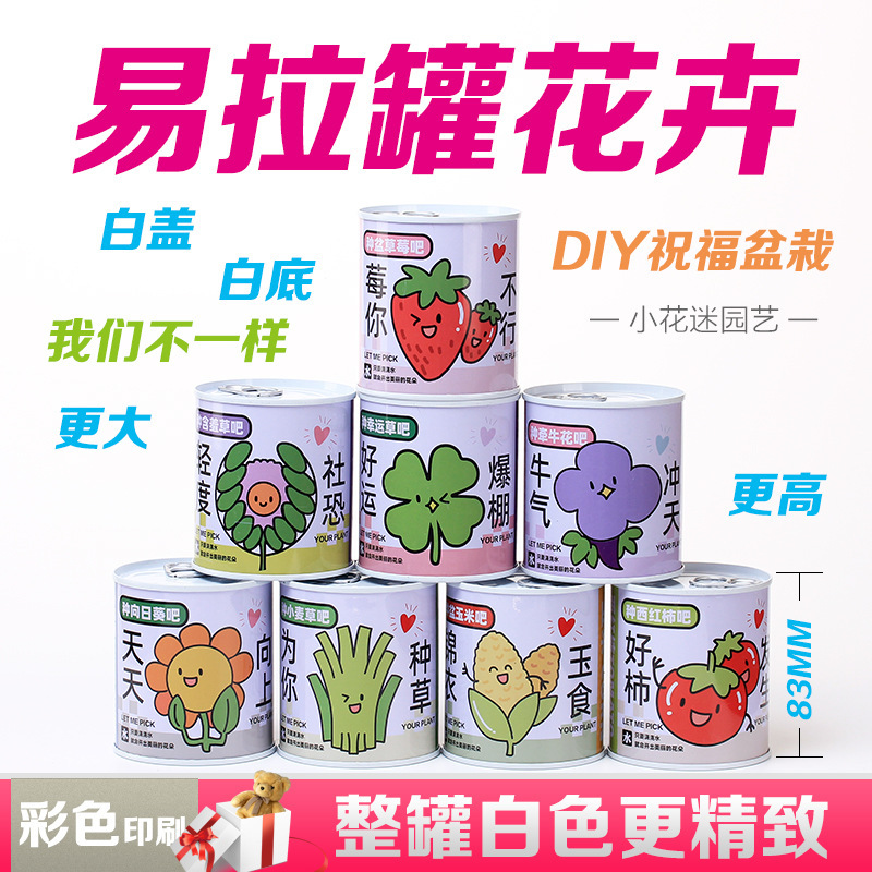 Children's Gift Can Plant Blind Box Desktop Small Potted Primary School Students Florals and Green Plants Easy to Feed Seeds Potted Plants