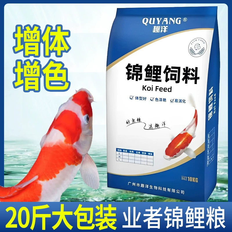 Koi feed 10 кг основных продуктов питания в цвет Ян оптом кои рыбный корм плавающий цвет тела кои рыбный корм