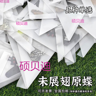 δչ��ԭ���˱�1/-Ʒ�|�ֹ�ԭ������������Ǵ����b���xƷ�N