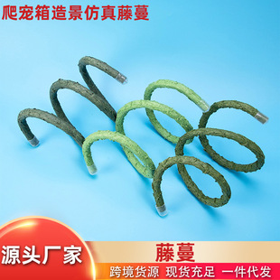 �ľ�з�������������ٗl�������쾰�b����⏝�������������l
