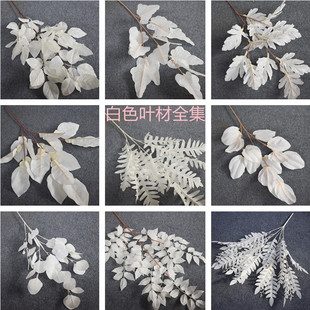 ?��ɫ��õ�彑��ĵ����c���߽�����Y���b�·���ٻ���Y��