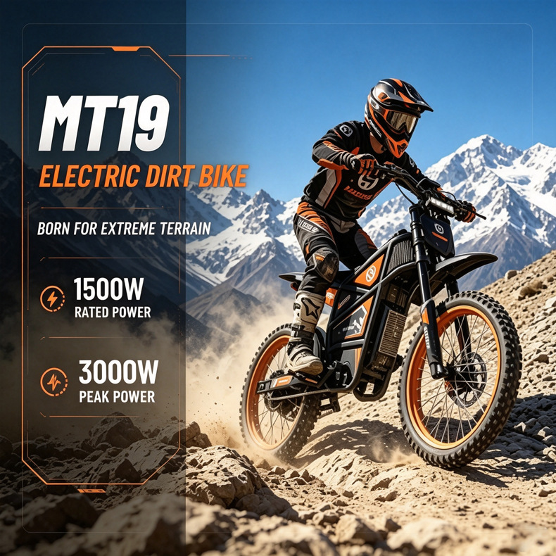 European and American Overseas Warehouse Cross-Border 19-Inch Off-Road Electric Motorcycle for Adults, 3000W Lithium Battery Mountain Bike, 60V 35Ah Electric Vehicle