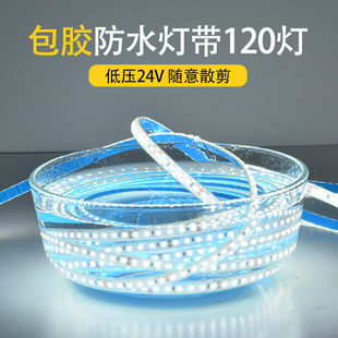 Led Rubber-Coated Waterproof Light Strip Low Voltage 24V120D 10.1m mm Outdoor Advertising Shopping Mall Lighting Outdoor Special Use