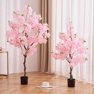 �羳���R�d���N����Gֲ�ѻ���  �����҃�����b�ֲ��ѻ��쾰