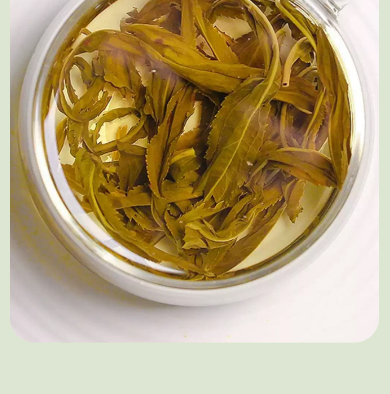 Gan Huang Cao Tea Dried Penthorum chinense Leaves Stems and Flowers 500g Bulk Loose Herbal Tea details
