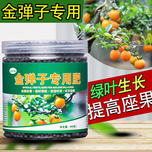 �����ӷʠI�BҺ���ӷ����������辰������Ի������f������