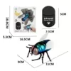 Remote control flies*