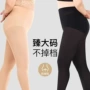 外穿大码女春打底连裤袜