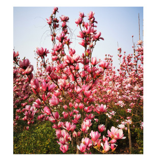 �������l�����m���е��䣬���^�䣬8���֘䣬����ֱ�N������r��