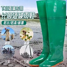 ��Ů����ܛ�׷�ˮˮ��������~�r���^ϥˮЬϵ����Ͳ55��������