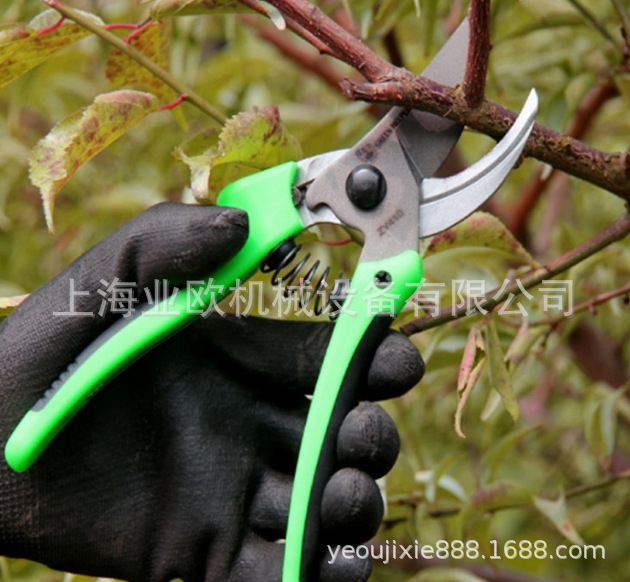 台湾助友ZY410剪枝剪刀 园艺修枝剪 花艺工具 家用剪果树枝剪