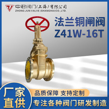 ���m�~�l�y�Ӻ����~�l�y�ԁ�ˮˮ�ܱ�ǰ�~�l�y Z41W-16T�l�y