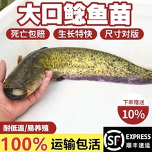 ����T�~���T�~���Ϸ�����T���T�~������·��������T�~�~���~��